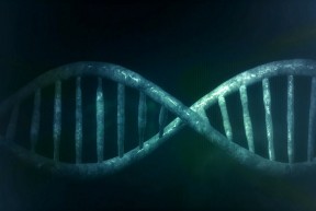 pruebas genéticas cáncer