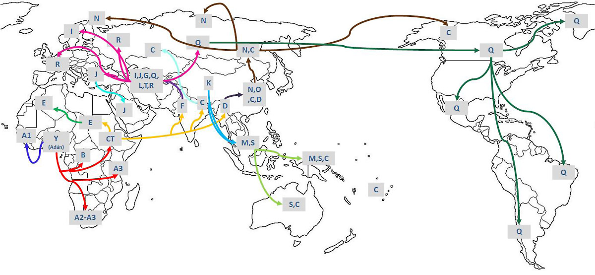 Mapa del estudio de ancestralidad linaje paterno